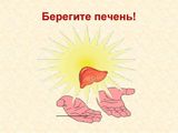 Неделя профилактики заболеваний печени